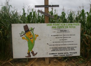 Corn Maze Rules